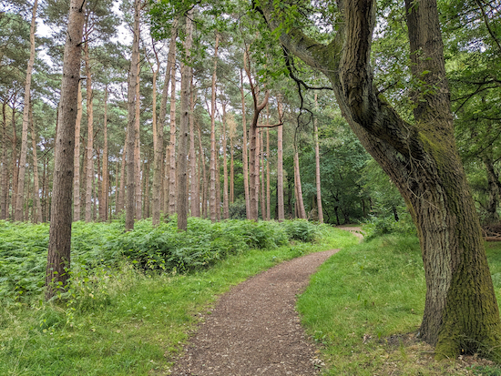Challenging Ridge Walk